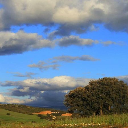 Casa Rural El Alimoche Penasrubias de Piron 外观 照片
