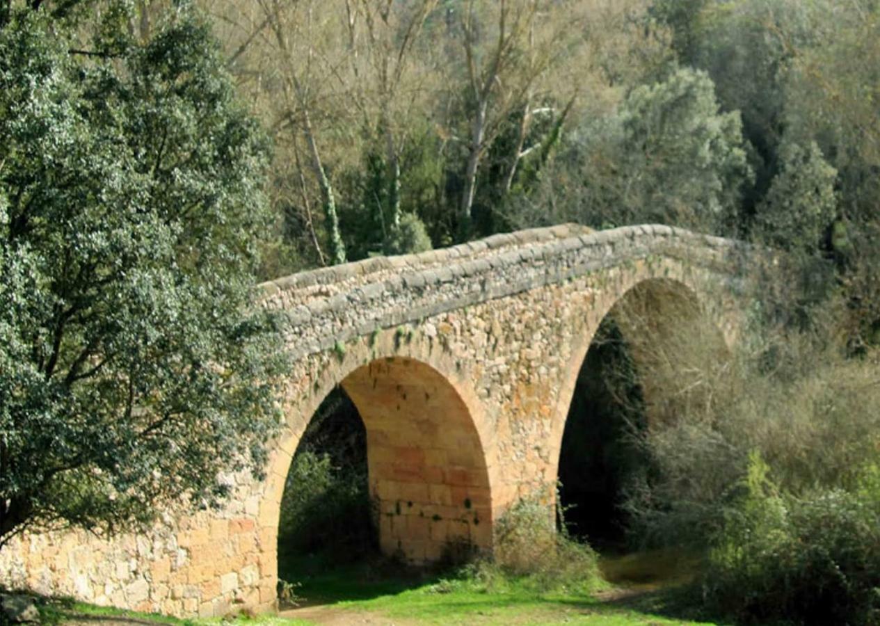 Casa Rural El Alimoche Penasrubias de Piron 外观 照片