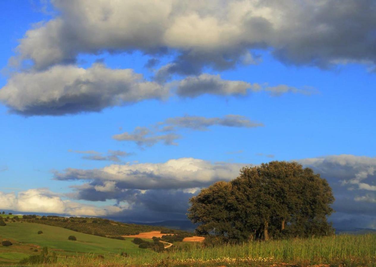 Casa Rural El Alimoche Penasrubias de Piron 外观 照片