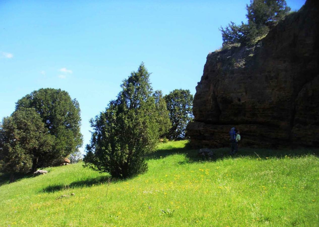 Casa Rural El Alimoche Penasrubias de Piron 外观 照片